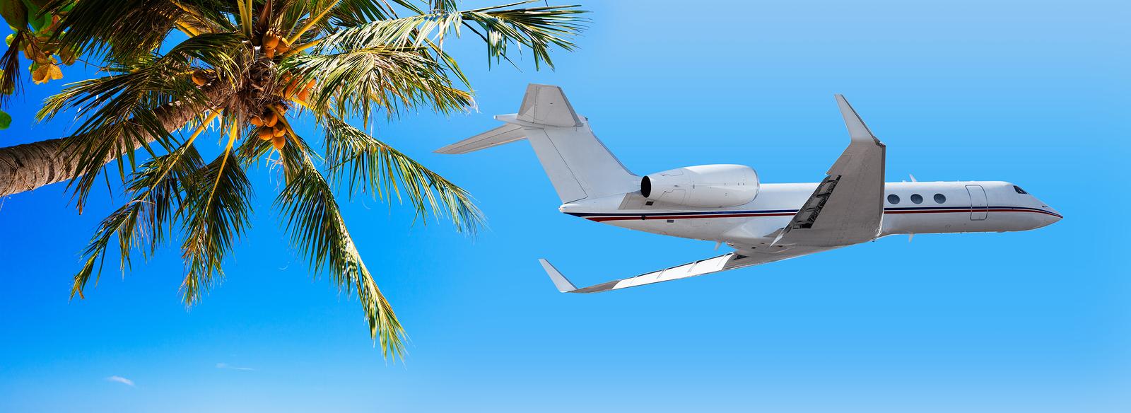 fly caribbean flights